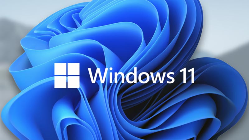 Is Your Organization Ready for Windows 11?